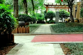 别墅庭院花园景观，分享一户庭院前花园改造经验，给您真实体验视频封面