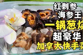 超豪华加拿大快手菜 红刺参海参王一锅葱烧 口感哪家强？视频封面