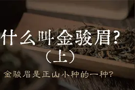 什么叫金骏眉（上）：金骏眉是正山小种的一种？视频封面