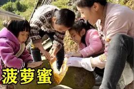 花66块钱买个大菠萝蜜太好吃了，一家人抢着吃，燕子根本剥不过来视频封面