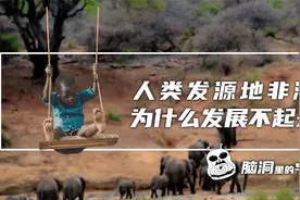 人类发源地非洲，为什么发展不起来？视频封面