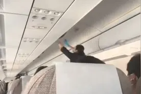 东航一客机高空飞行时舱内突现小鸟飞窜 乘客：不知道从何而来