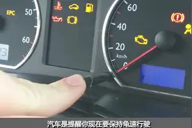 女司机-仪表盘上亮起小乌龟是啥意思？老司机-这都不懂还敢上路视频封面