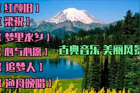 静心音乐《红颜旧》《梁祝》《梦里水乡》《心与心愿》《追梦人》视频封面
