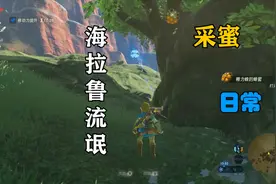 3个采集蜂蜜的最佳地点【塞尔达传说 荒野之息】
