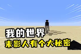 我的世界：玩家和末影人成为了好朋友，获悉了它的大秘密