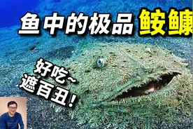 丑出了天际，却成为极品美食，最让人看不懂的深海恶魔——鮟鱇视频封面