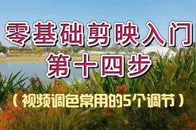 零基础剪映入门第十四步：视频调色不难，用好这5个调节功能够了