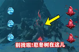 原神：全网都在找的忍冬之树其实在这！只需要三个步骤就能开启
