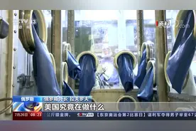 有什么不可告人的目的？美在中俄周边部署生物实验室令人生疑视频封面