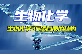 生物化学35蛋白质的结构视频封面