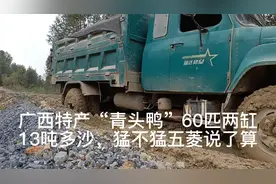 广西特产“青头鸭”60匹两缸载13吨多沙，牛不牛五菱说了算