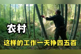 农村这样的工作一天可以挣四五百块，随便月入过万，大哥带你看看视频封面