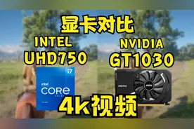 Intel顶级集显 UHD 750 vs GT 1030视频封面