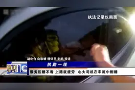 服务区睡不着，上路就疲劳 ？ 心大司机在高速车流中酣睡视频封面