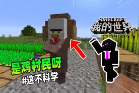 我的世界：鸡蛋孵出了鸡村民，这不科学！视频封面