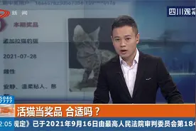 农行广东分行抽奖活动引争议，抽奖送“万元活猫”？您认可吗？视频封面
