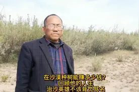 在沙漠种树能赚多少钱？回顾他的人生，治沙英雄不该背负骂名视频封面