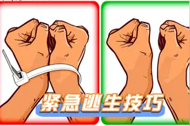 硬核科普：被熊追到底该装死还是爬树？二十三个紧急逃生技巧视频封面
