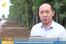 枣庄：村里大型养鸡场占用基本农田建设，曝光后相关部门进行拆除视频封面