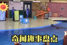 奇闻趣事盘点：饲养员被大海狮“壁咚”！不给小鱼干就不撒手视频封面