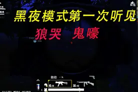 刺激战场：夜晚模式时听到狼哭鬼嚎的声音，吓的差点退出游戏视频封面