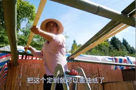 范老幺用8根竹子给鸡搭建雨棚，不仅成本低，还实用，效果还不错视频封面