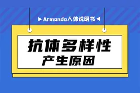 【抗体多样性】抗体BCR和抗体TCR多样性（一）