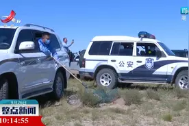 内蒙古救护的1只雪豹在贺兰山被放归自然视频封面