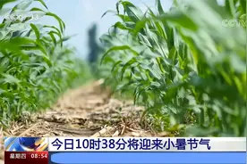 今日10时38分将迎来小暑节气