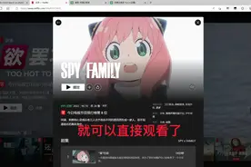 Netflix免费账号分享