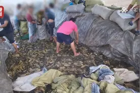 3·15晚会曝光：触目惊心！部分老坛酸菜包竟是在土坑腌制而来视频封面