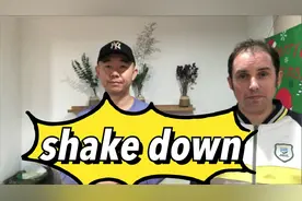 学习常见英语单词shake down