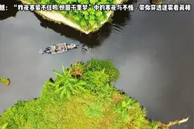 人生不如意,十之八九,可与语人无二三-【旭】“昨夜寒蛩不住鸣”