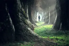 掌控自己的人生 积极生活 按照自己喜欢的方式度过这一生！