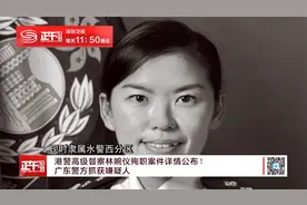 港警高级督察林婉仪殉职案件详情公布！广东警方抓获嫌疑人视频封面