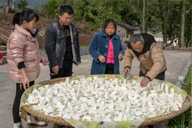 农村做红薯粉全过程，300多斤红薯打二十多斤粉，耗时一星期完成视频封面