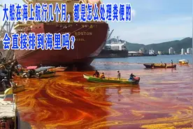 大船在海上航行几个月，都是怎么处理粪便的，会直接排到海里吗？视频封面