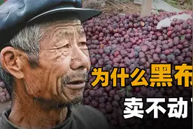 从黑布林到“黑不理”！上万吨洋货砸在果农手里，为何卖不出去？视频封面