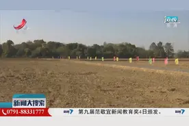 【搜民生】南昌市新建区：抢抓晴好天气 建设高标准农田视频封面