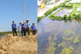 检察视窗：南渡江的活水视频封面