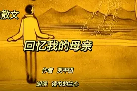 经典散文《回忆我的母亲》，作者贾平凹，母子情无不如此吧视频封面