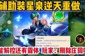 辅助装星泉逆天重做！可以给队友免控还有霸体，玩家：删除庄周吧视频封面
