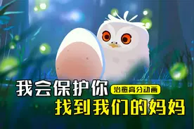 超治愈！小猫头鹰的奇幻之旅，带着没破壳的弟弟寻找妈妈视频封面