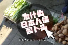 为什么日本人是萝卜头