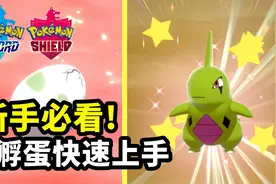 新手必看！宝可梦剑盾【孵蛋快速上手】攻略视频封面