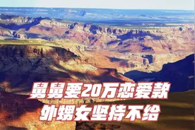 舅舅要20万恋爱款，外甥女坚持不给，舅舅表示：一定要拿回来视频封面