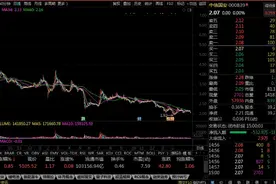 一日一股：中信国安视频封面