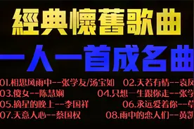 一人一首成名曲【经典粤语金曲】视频封面