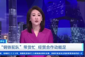 央视财经评论：互利共赢，中欧贸易空间巨大视频封面